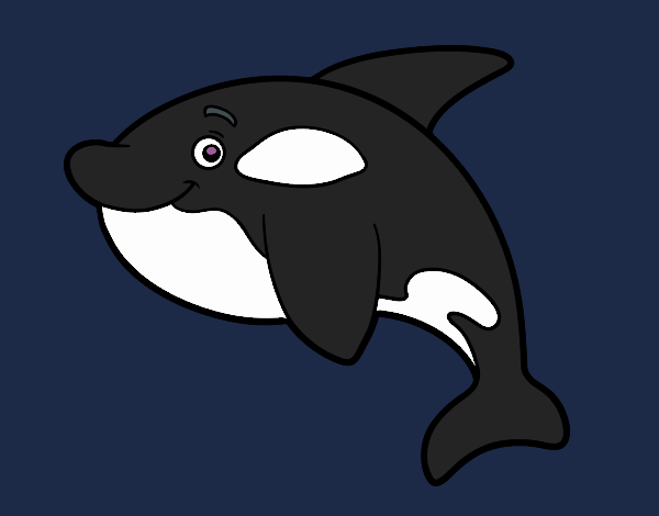 Orca joven