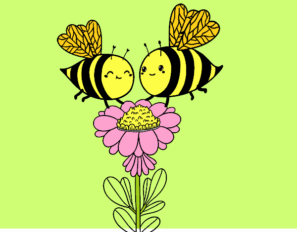 Pareja de abejas