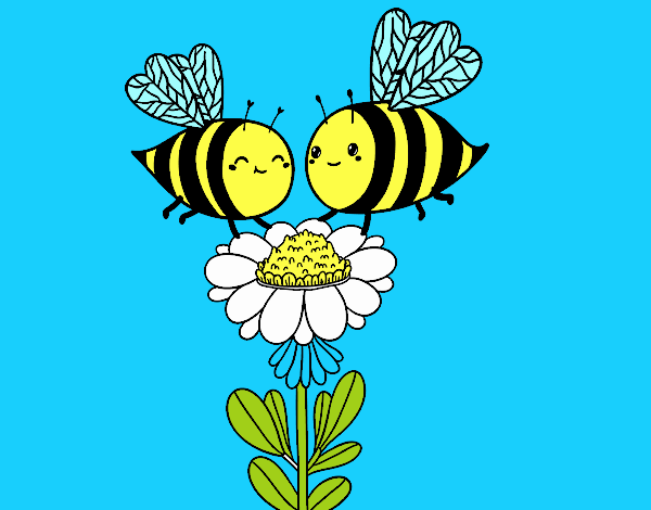 Pareja de abejas