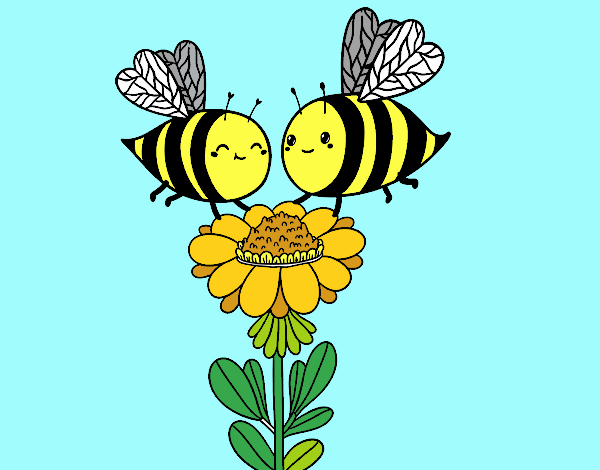 Pareja de abejas