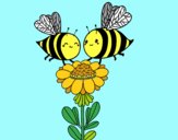 Pareja de abejas