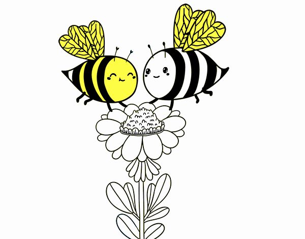 Pareja de abejas