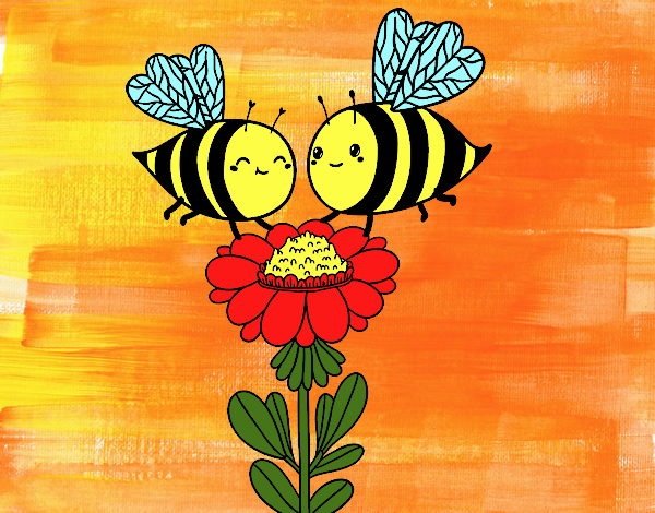 Pareja de abejas