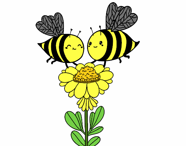 Pareja de abejas