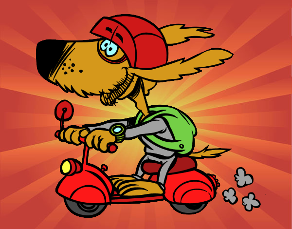 perrito motociclista