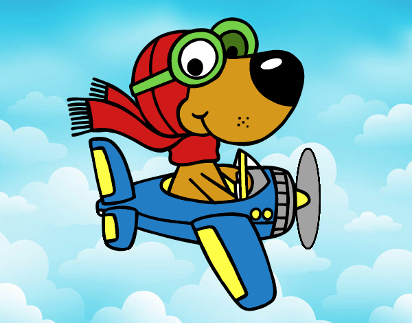 Perro piloto