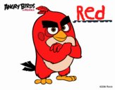 Red de Angry Birds