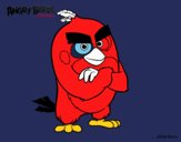 Red de Angry Birds