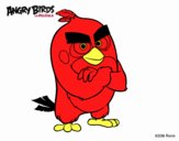 Red de Angry Birds