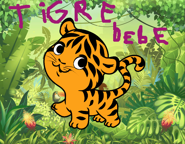 Tigre bebé