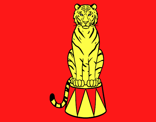 Tigre de circo