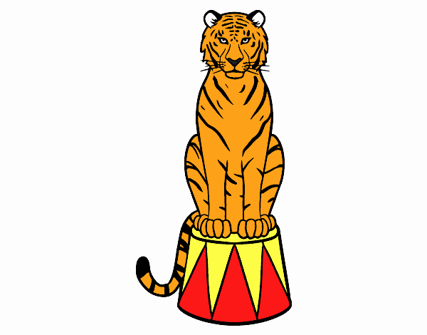 Tigre de circo