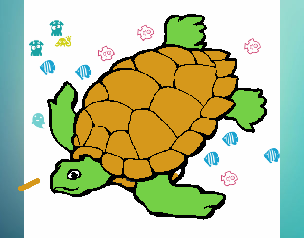 Tortuga