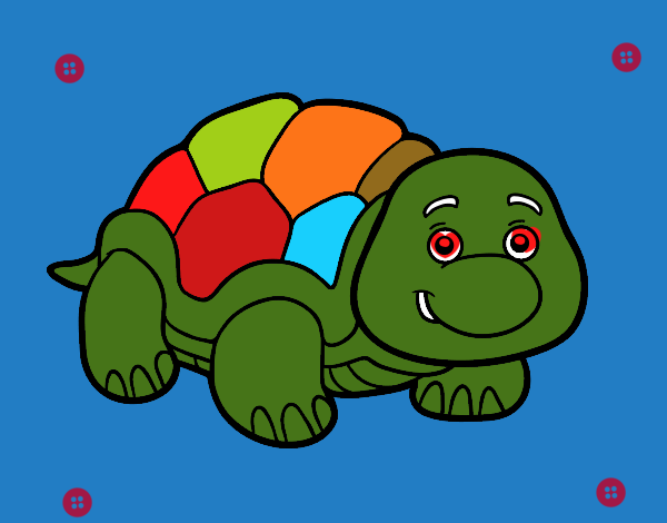 tortuga de arcoiris