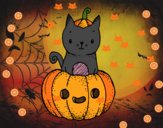 Un gatito de Halloween