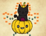 Un gatito de Halloween