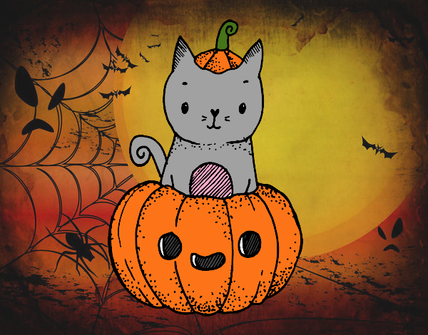 Un gatito de Halloween