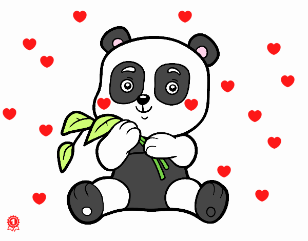 Un oso panda