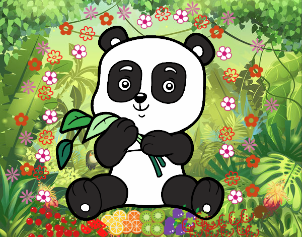 pandi el oso panda 