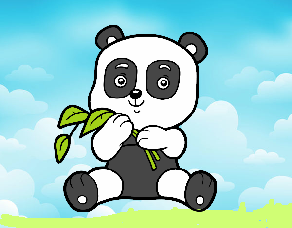 Un oso panda