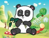 Un oso panda