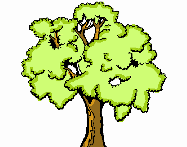 Árbol 1