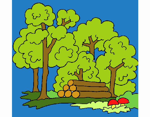 paisaje arboles