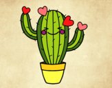 Cactus corazón