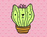 Cactus gato