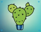 Cactus nopal