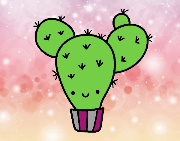 Cactus nopal