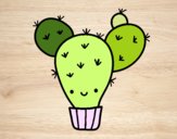 Cactus nopal