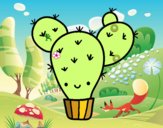 Cactus nopal