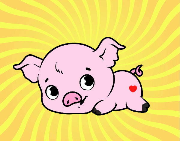 Cerdito bebé