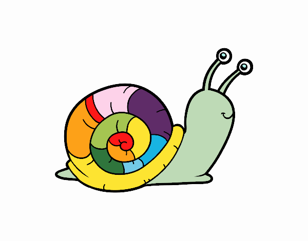 El caracol