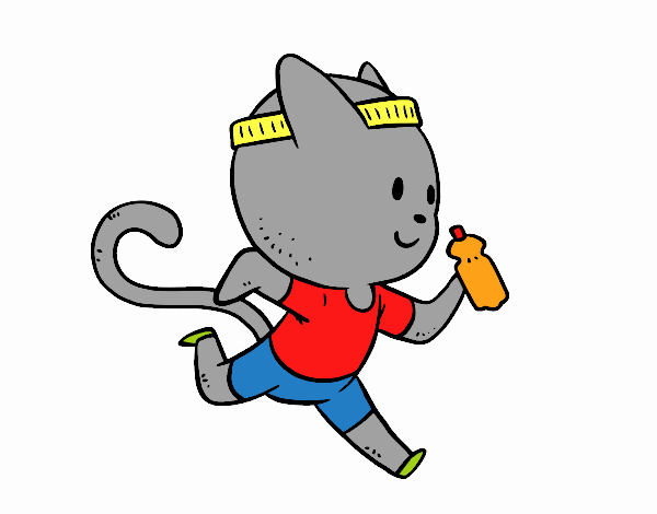 Gato runner