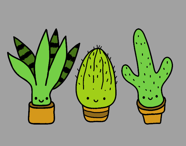 Mini cactus