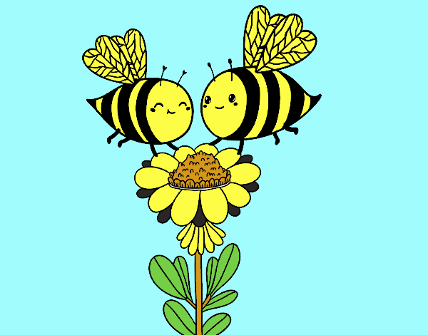 Pareja de abejas