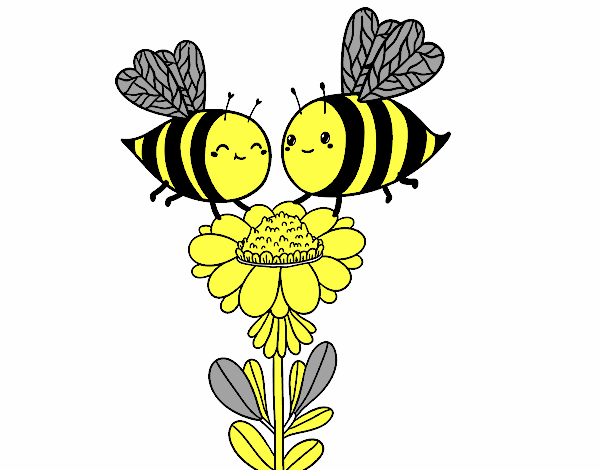 Pareja de abejas