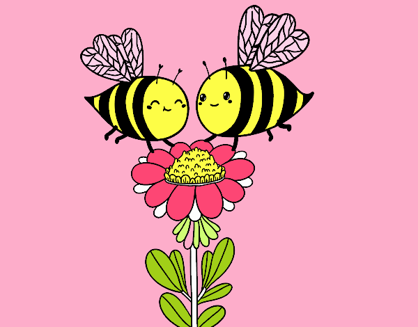 Pareja de abejas