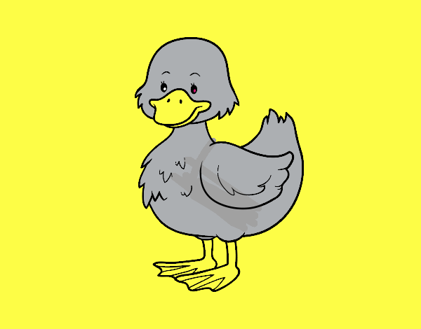 Patito de granja