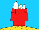 Snoopy durmiendo