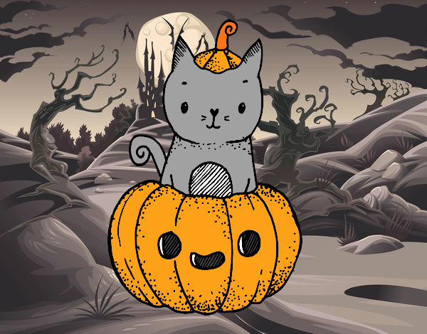 Un gatito de Halloween