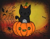 Un gatito de Halloween