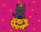 Un gatito de Halloween