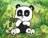 Un oso panda