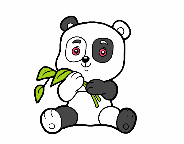 Un oso panda