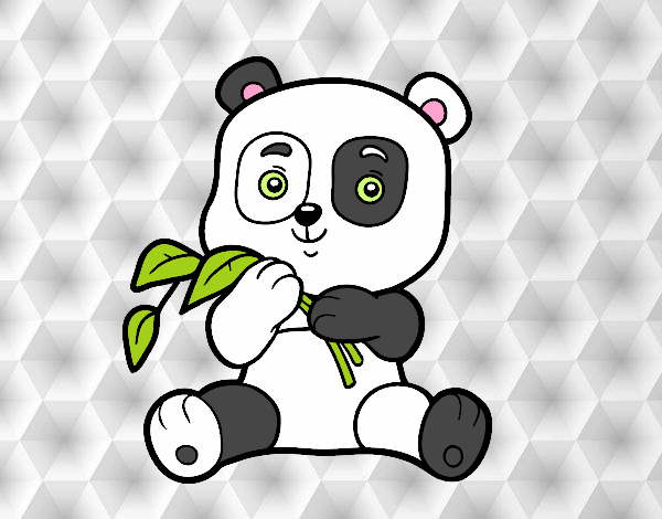 Un oso panda