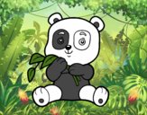 Un oso panda