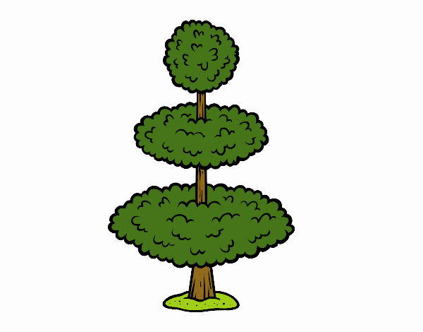 árbol pequeño